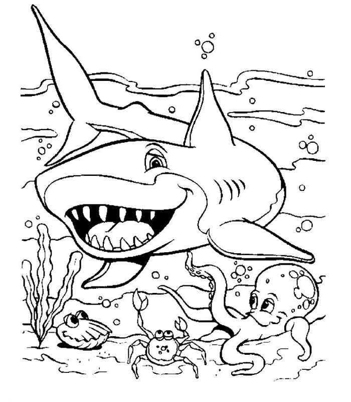 Coloriage A Imprimer Requin Et Les Autres Animaux Aquatiques Gratuit Et